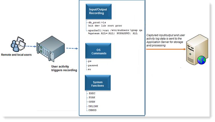 Unix - Linux Agent Overview